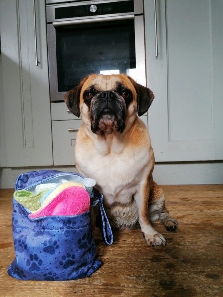 Reusable Dog and Cat Wipes | Pet Cleaning Wipes